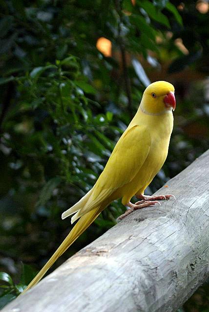 Unknown, but friendly