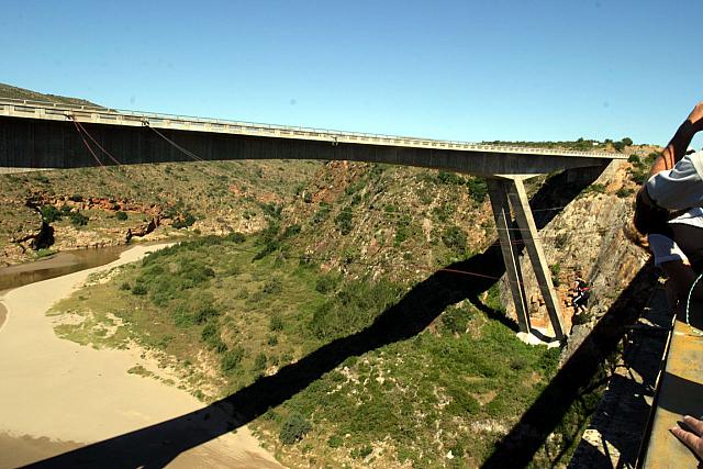 They swing from this bridge!