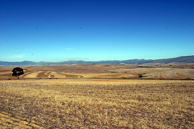 Wide, dry fields along the route to Cape Town