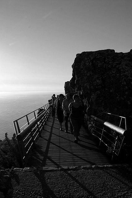 Just a pretty shot on Table Mountain