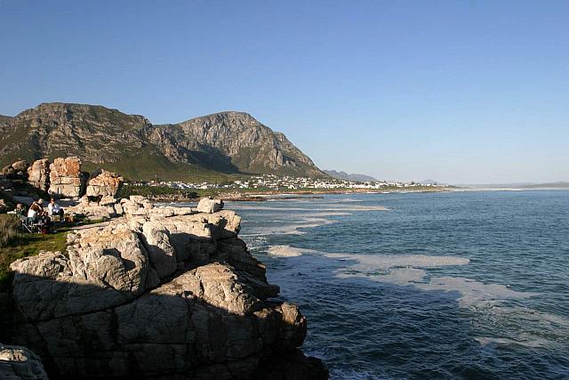 Hermanus backdrop