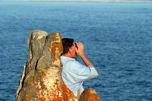 Karl looking for whales