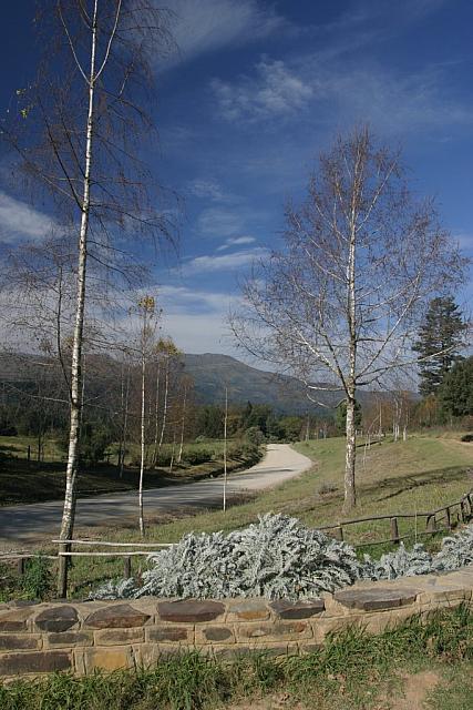 Mountains in Hogsback