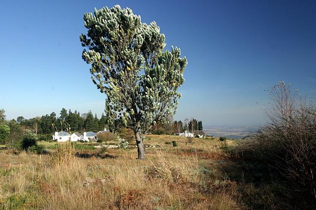 View from "The Edge"