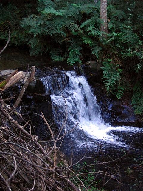 Little waterfall