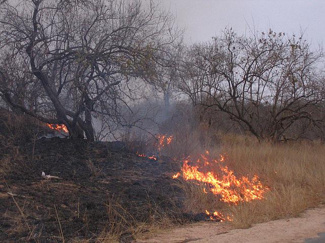 Fire in Kruger