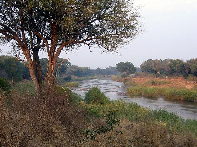 Scenery in Kruger