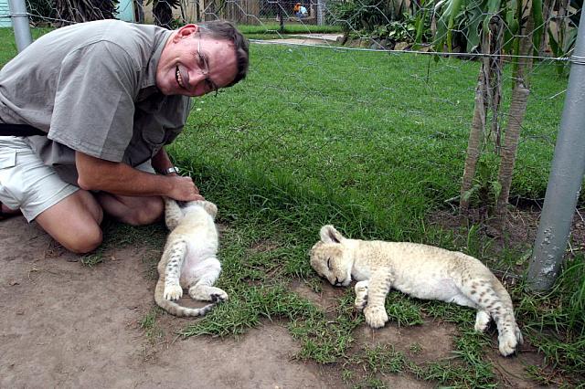 Karl petting two 3-week old lioncubs
