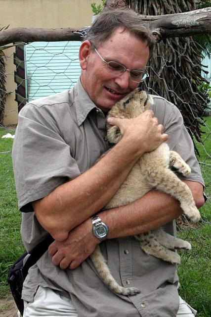 The 3-week old lion cub acts just like a cat