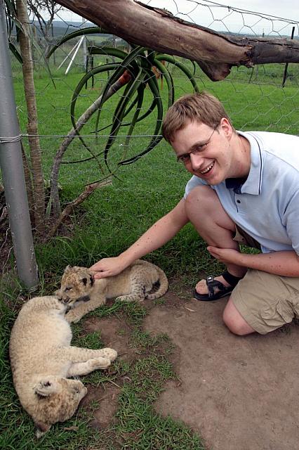 Johan petting two 3-week old lion cubs