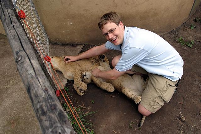 Johan petting two 3-month old lions