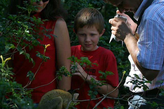 Monkey-Boy interaction