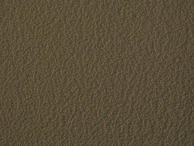 Sand Texture