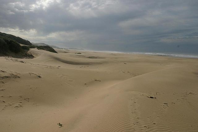 Beach at Mpekweni