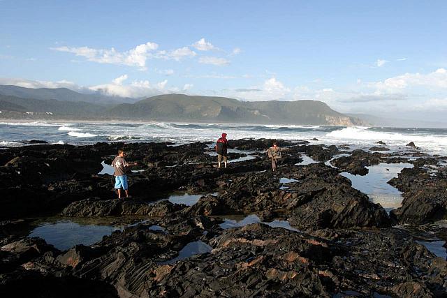 Tide Pools