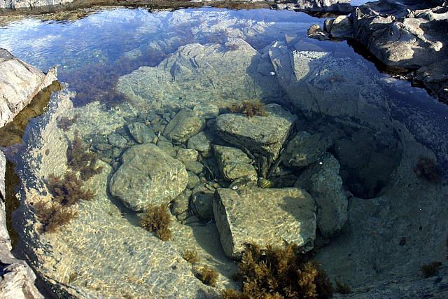 Tide pool
