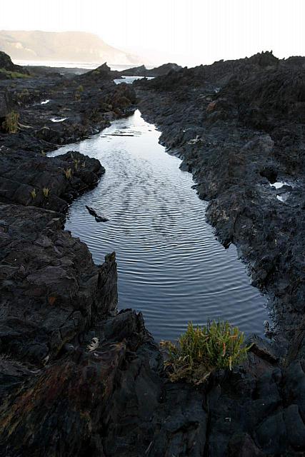 Tide pool