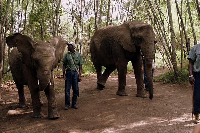 Inspecting the troops.