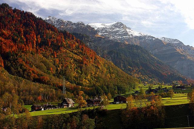 Beautiful fall colours