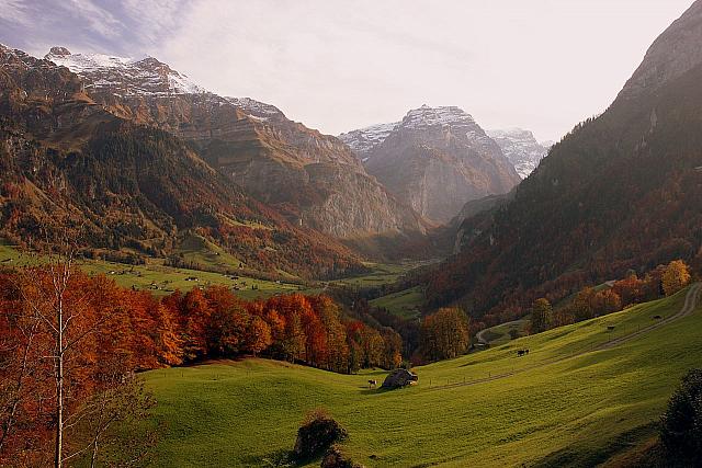 Beautiful fall colors down the valley