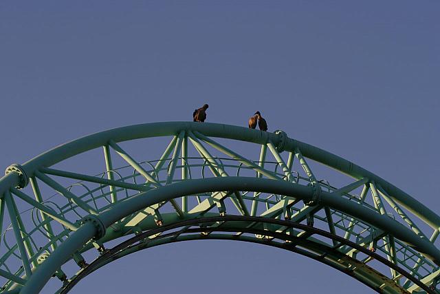 Hadidas on one of the coasters at Gold Reef City