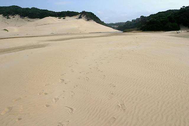 Beach by Christmas rock