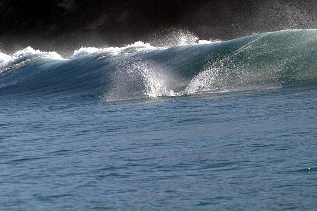 Dolphins splashing in the waves