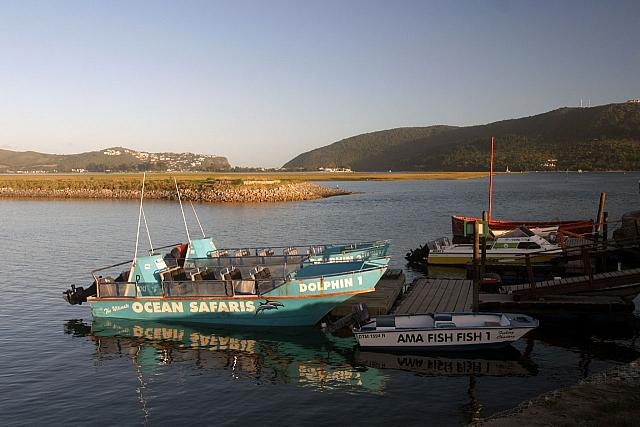 Boat for the whale trip