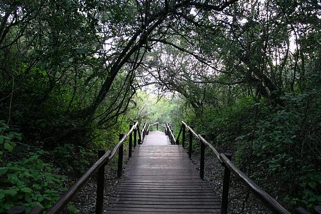 The way to the beach.