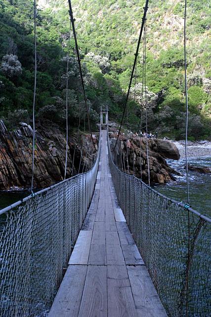 Hanging bridge at Tsitiskama