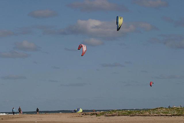 Many kites. There was a group of kite surfers.