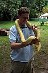 Johan holding an albino ball python