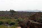 Scenery in Kruger park