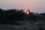 Sunset in Kruger