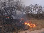 Fire in Kruger