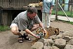 Karl petting a 7-month old tiger