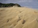 WIND: Sand in motion